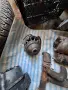 Всичко за VW Golf & Jetta Mk2 1300см3, снимка 16