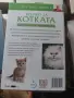 Всичко за котката, снимка 9