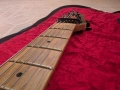 Китара Fender EVH Wolfgang Special, снимка 12