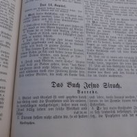 МНОГО СТАРА НЕМСКА БИБЛИЯ 1887 ГОДИНА, снимка 10 - Антикварни и старинни предмети - 39129891