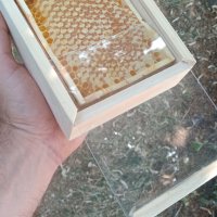 Пчелен мед,пити с мед   - реколта 2023, снимка 10 - Пчелни продукти - 18858767