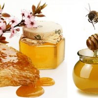 Продавам полифлорен пчелен мед букет 9 лв. на буркан 1 кг. с винтова капачка, снимка 3 - Пчелни продукти - 21270708