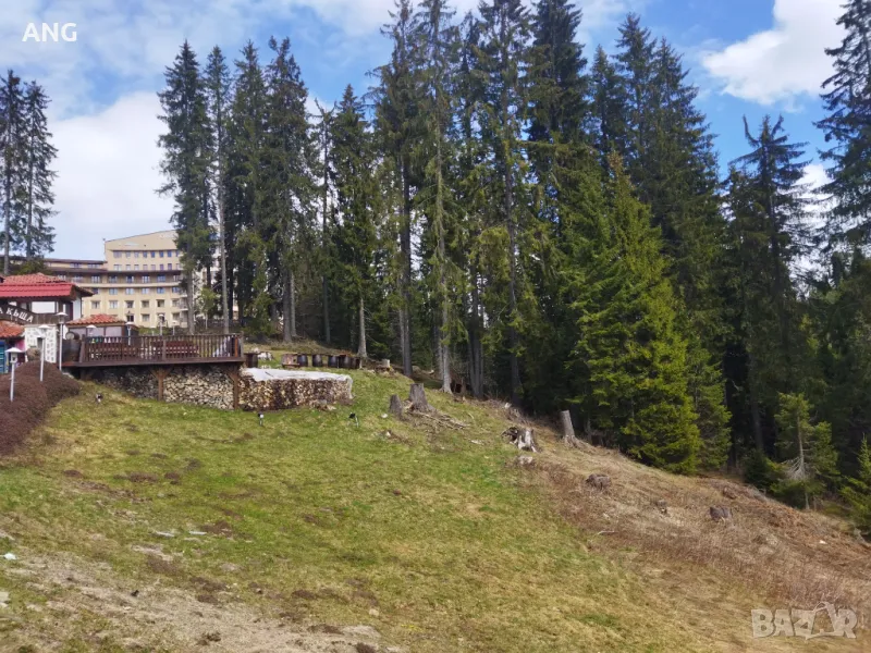 Продава парцел в регулация в к.к.Пампорово, снимка 1