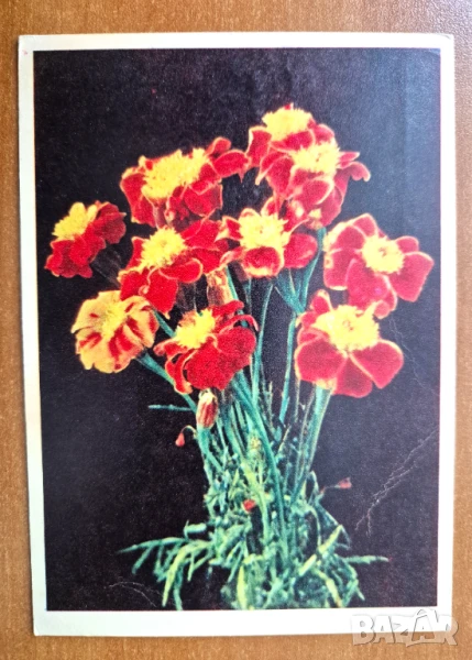 Пощ. картичка   - художествена  СССР, снимка 1