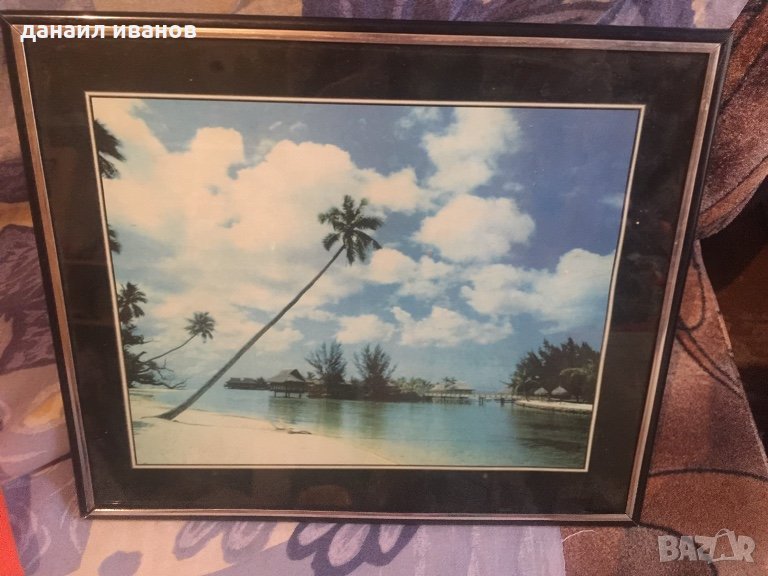 Картина 31/26, снимка 1