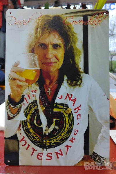 David Coverdale-метална табела (плакет), снимка 1
