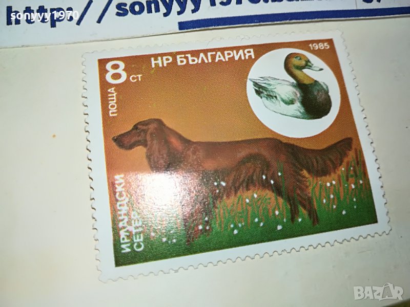 МАРКА 3 НРБ 1985 ИРЛАНДСКИ СЕТЕР 1203231544, снимка 1