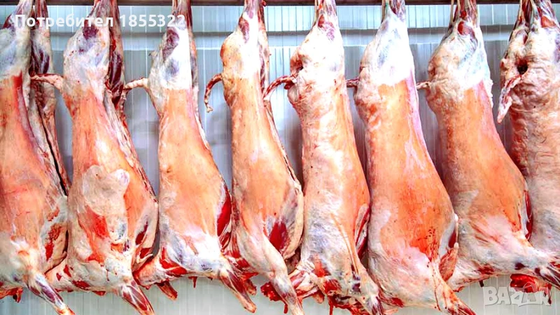 Работа във Великобритания , снимка 1