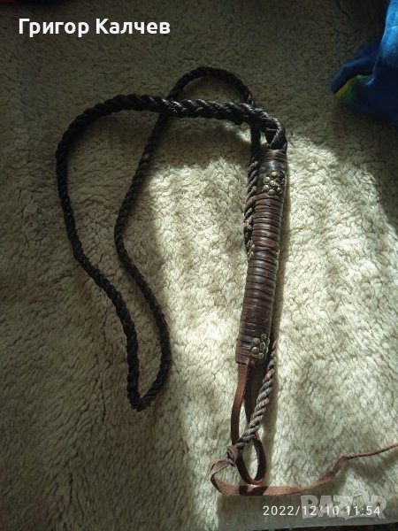 Кожен бич, снимка 1