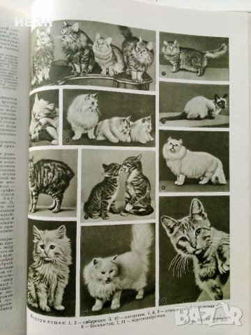 Краткая енциклопедия Домашнего хозяйства  том 1 - 1959г., снимка 11 - Енциклопедии, справочници - 38580144