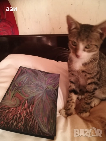 Картички за Любов, за Коледа, за всеки ден, снимка 17 - Картини - 39587571