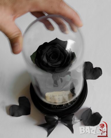 Вечна Роза в Стъкленица / Стилен и Оригинален Подарък за Рожден ден / Естествена Черна Вечна Роза, снимка 2 - Други - 34470448