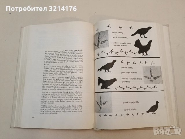 Основи на селекцията - Генчо Генчев, снимка 10 - Специализирана литература - 51428552