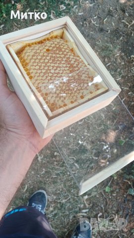 Пчелен мед,пити с мед   - реколта 2023, снимка 10 - Пчелни продукти - 18858767
