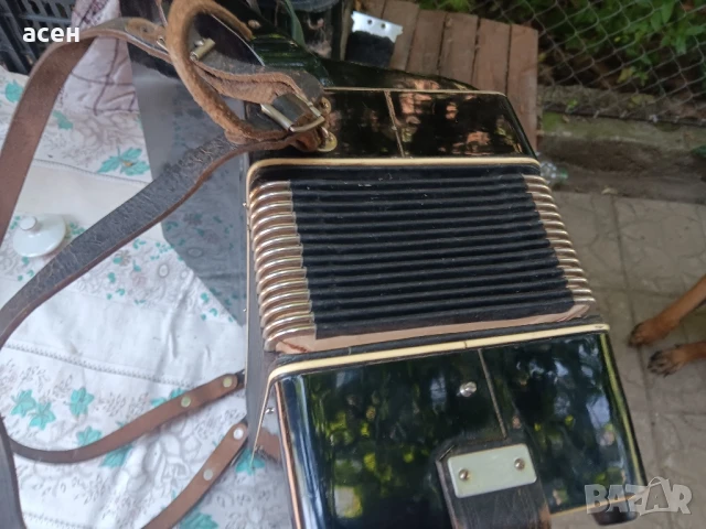 акордеон малък