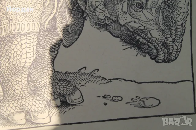 Литография ''Албрехт Дюрер'', снимка 4 - Колекции - 48572598