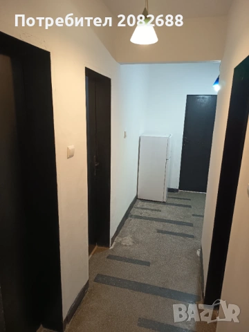 Стая , снимка 6 - Стаи под наем - 54069979