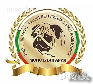 Хотел за кучета порода Мопс