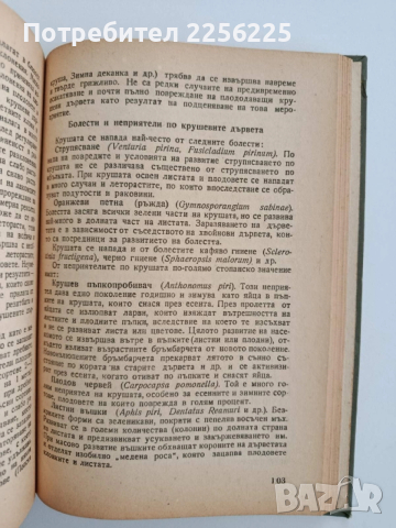 Агротехника на овощните култури, снимка 5 - Специализирана литература - 52466931