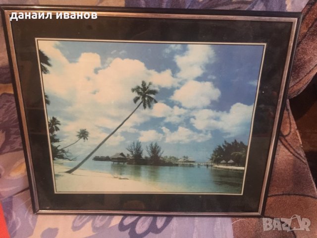 Картина 31/26, снимка 1