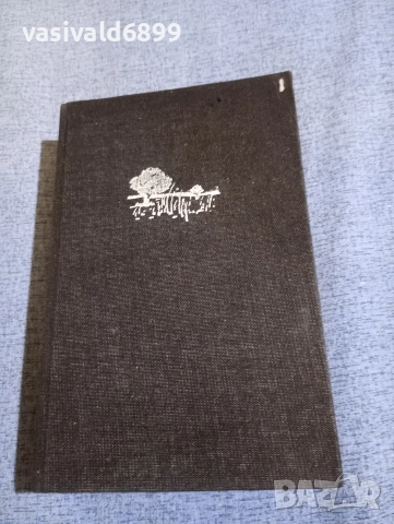 Патрик Уайт - Окото на бурята , снимка 2 - Художествена литература - 52915359