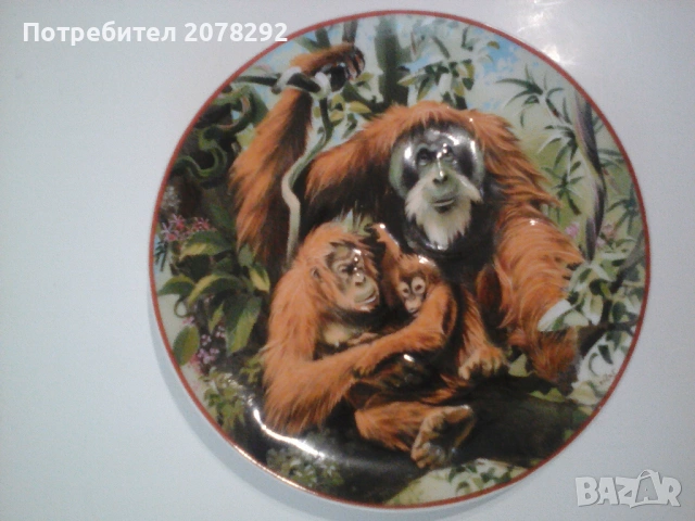 Комплект колекционерски чинии за стена, снимка 6 - Декорация за дома - 53363911