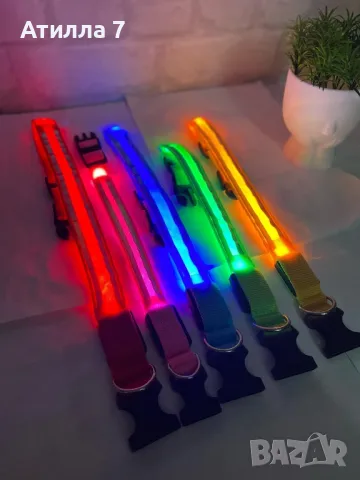 Светещи нашийници за кучета с USB зареждане, снимка 8 - За кучета - 49211350