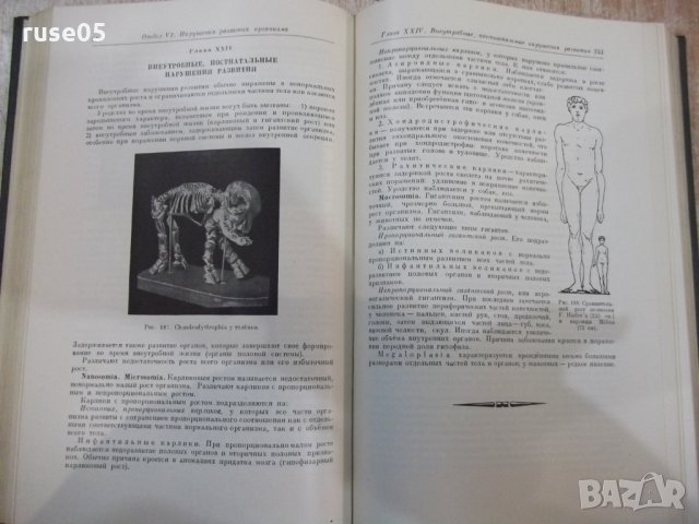 Книга "Основы паталог.анатомии дом.животных-К.Г.Боль"-584стр, снимка 5 - Учебници, учебни тетрадки - 34398871