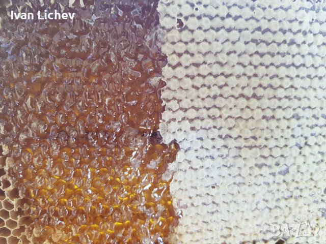 Предлагам пчелен мед, снимка 7 - Други стоки за дома - 42065377