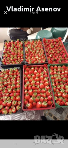 Ягоди, снимка 5 - Козметични уреди - 53940999