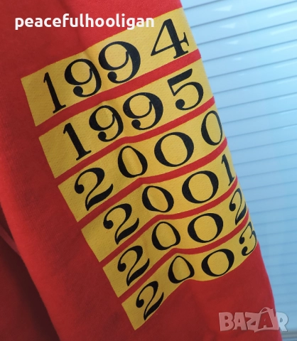 Michael Schumacher F1 Formula 1 World Champion Six Times 2003 Hoodie Size XL, снимка 4 - Суичъри - 52430318