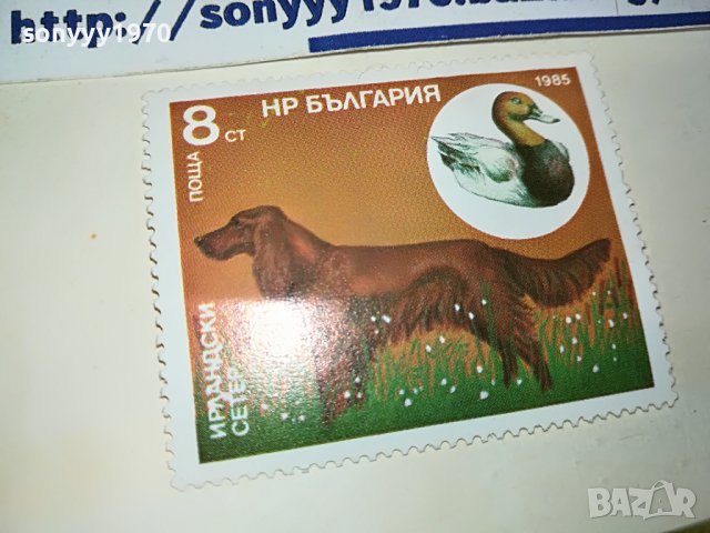 МАРКА 3 НРБ 1985 ИРЛАНДСКИ СЕТЕР 1203231544