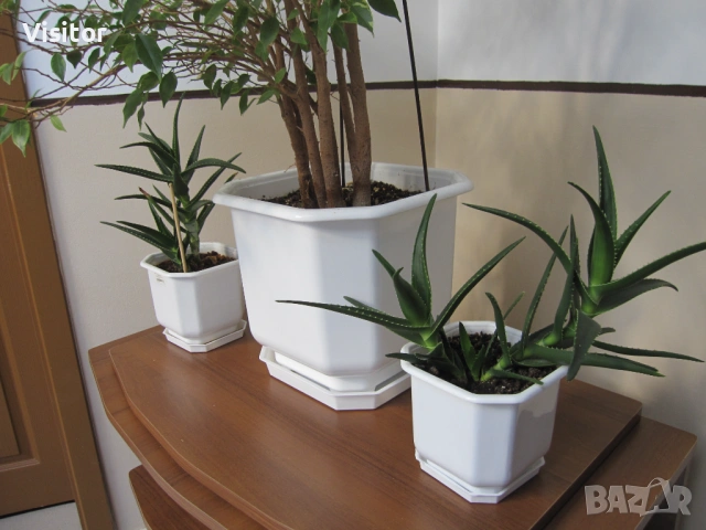 Canon Digital IXUS 110 IS  12,1МРх, снимка 16 - Фотоапарати - 53060476