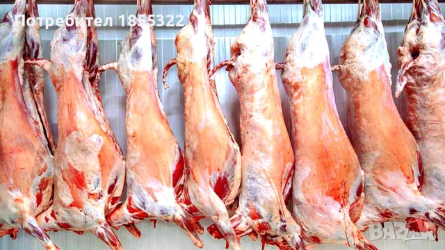 Работа във Великобритания 