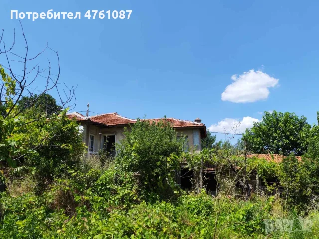 Отличен имот с голям парцел (1070 кв.м) и 3 спални в село Николово, обл. Хасково, снимка 4 - Къщи - 56054874