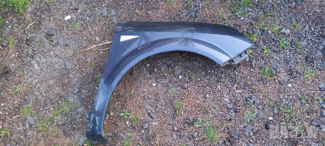 Десен калник Renault Scenic II