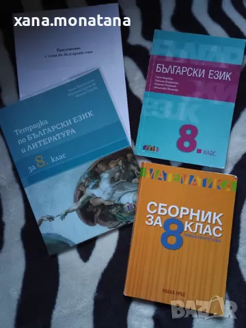 Учебни помагала за 8 клас , снимка 1 - Учебници, учебни тетрадки - 47262877