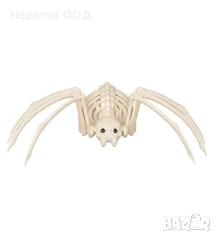 Реалистичен скелет, паяк, Хелоуин, 37 см, снимка 3 - Други - 47606791