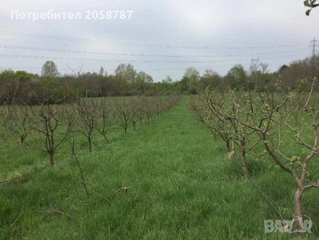 Земеделска земя с водоем и капково напояване, снимка 2 - Земеделска земя - 52859131