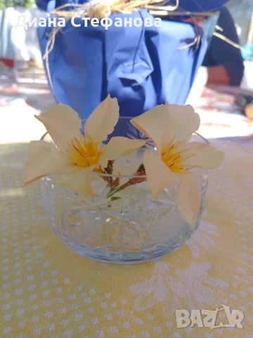 Фруктиера и бонбониера кристал, снимка 5 - Сервизи - 51328085