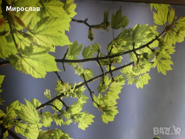 електро услуги и електроника в Приморско,Китен,Созопол,Царево, снимка 10 - Електро услуги - 50925288