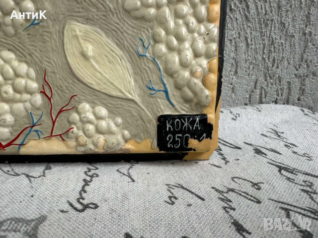 Соц Учебни Модели по Биология, снимка 6 - Антикварни и старинни предмети - 51682463