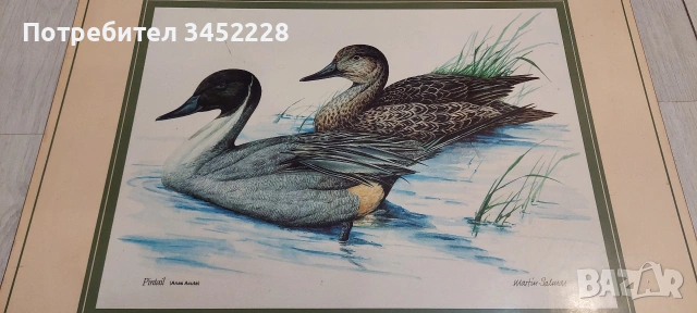 Декорация коркова плоскост 40см 30см за ценители , снимка 2 - Декорация за дома - 54174999