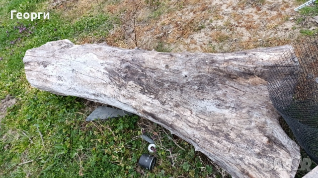 Орехов материал , снимка 2 - Дърводелски услуги - 53936941