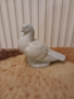порцеланов гълъб, снимка 4