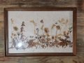 Картина - хербарий, снимка 2