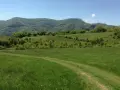 продавам два имота в село Лакатник , снимка 7