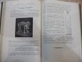 Книга "Основы паталог.анатомии дом.животных-К.Г.Боль"-584стр, снимка 5