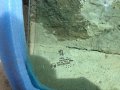 Задно ляво стъкло за Peugeot 407, снимка 2