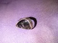 Сребърен пръстен 14грама 925 пр.Тип Харлей Дейвидсон черепи German Helmet skull ring, снимка 5